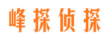 青云谱侦探